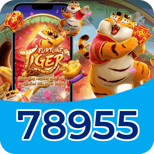 Interface 78955