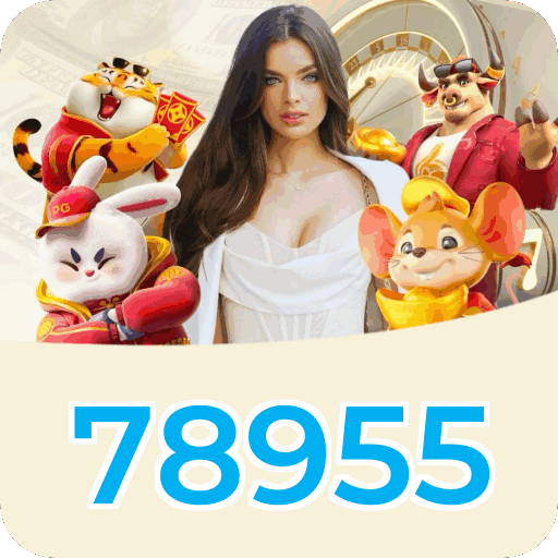 Métodos de pagamento aceitos na 78955